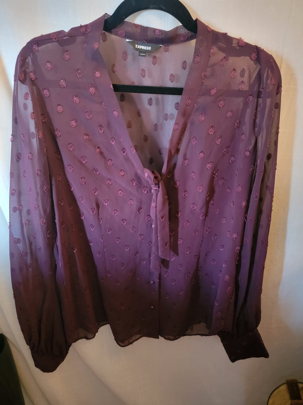 Express Women's Plum Tie-Neck Sheer Blouse/L